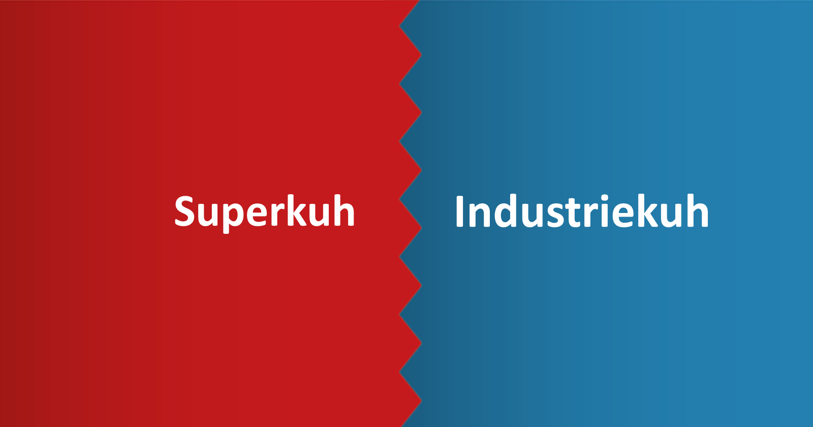 Die Superkuh