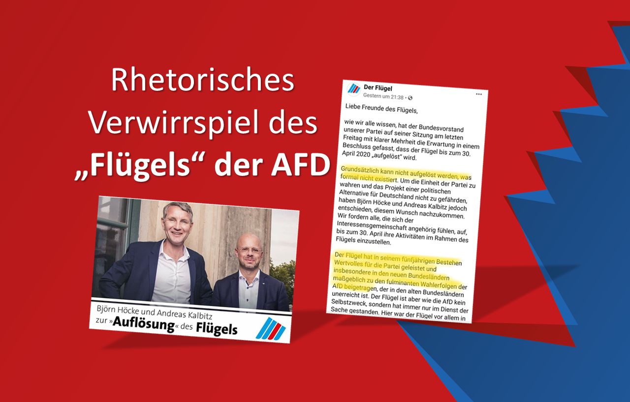 "Flügel" der AfD - Rhetorisch aufgelöst