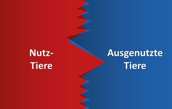 Der Etikettenschwindel des Begriffs "Nutztier"