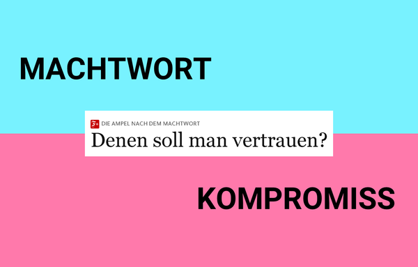 Synonyme der Richtlinienkompetenz